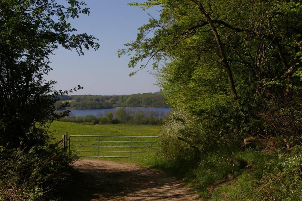 FeWo Am See 15A Klein Wittensee Exterior foto